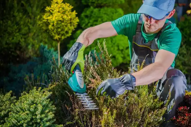 landscaping services Kingsley